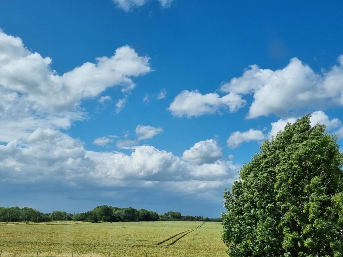 Scheune In Ostseenaehe Auch Mit Pferd Ducherow Bagian luar foto